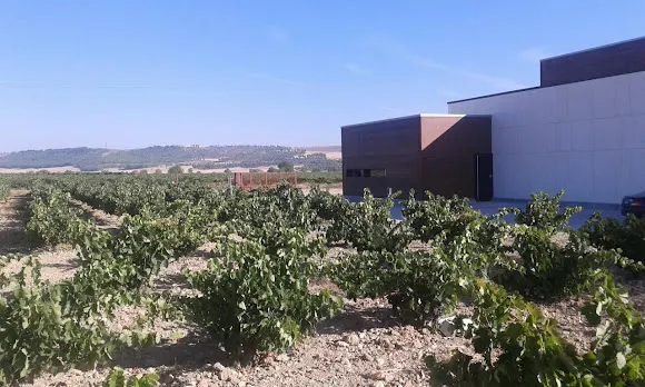 Bodegas Salvueros