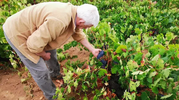 Bodegas Matihuelo - San Cristobal de Entrevinas