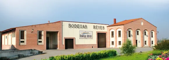 Bodegas Reyes - Penafiel
