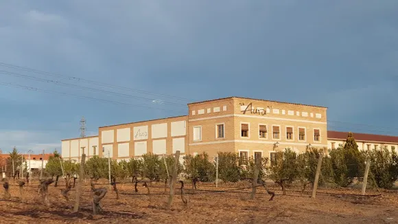 Bodegas AURA - Rueda