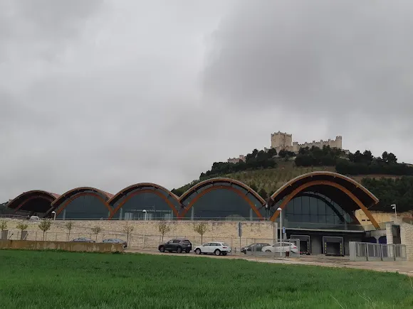 Bodegas Protos - Penafiel