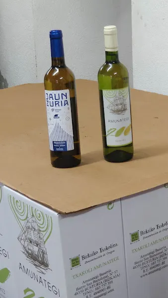TXAKOLI AMUNATEGI TXAKOLINA - Busturia