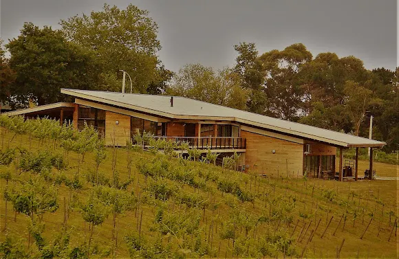 Zabala Txakolina Bodega - Bakio