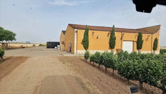 Bodegas y Viñedos Sobreño - Toro