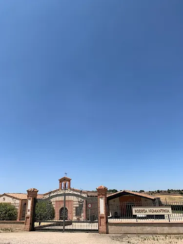 Bodega Numanthia