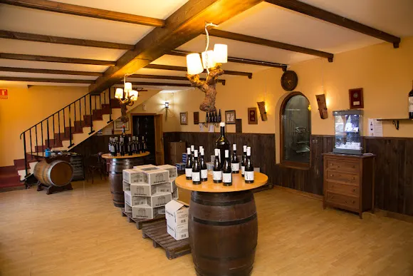 Bodega Picos - Magallon