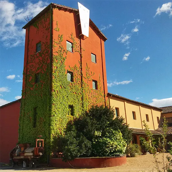 Sendas y Valles - Tienda de vinos en Cádiz - foto 2