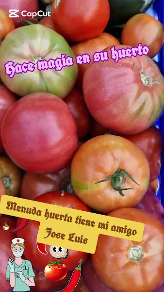 Bodegas Tosos Ecologica - Tosos
