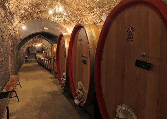 Bodegas Frontonio - Alpartir