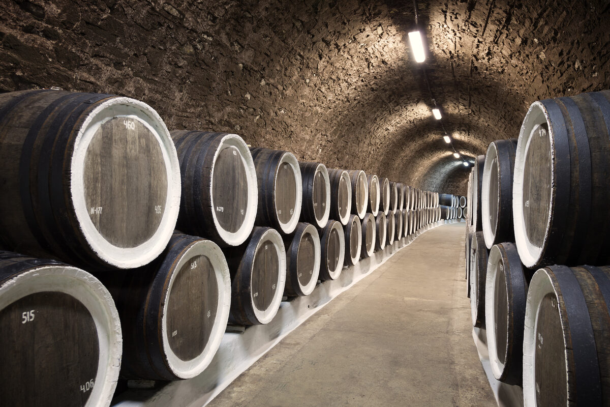 Mejores Bodegas para visitar en España | Enoturismo【2026】